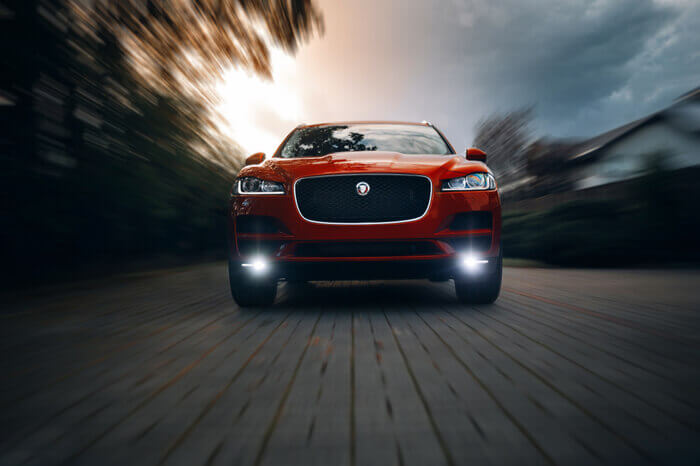 schnellfahrender Jaguar auf Straße