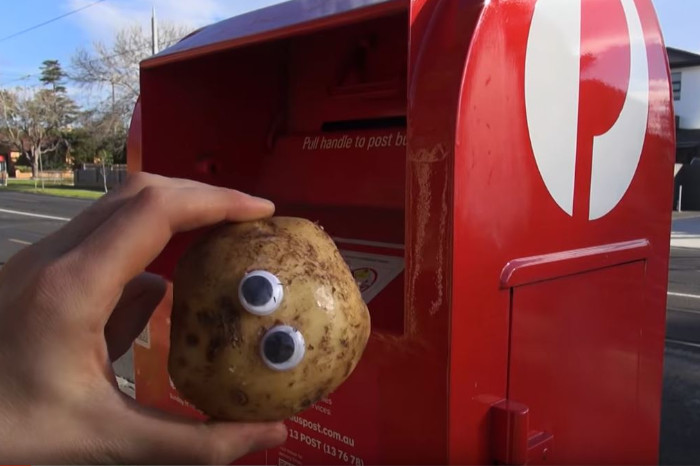 Kartoffel vor Briefkasten