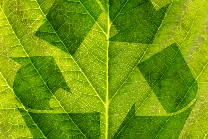 Grünes Recycling-Symbol