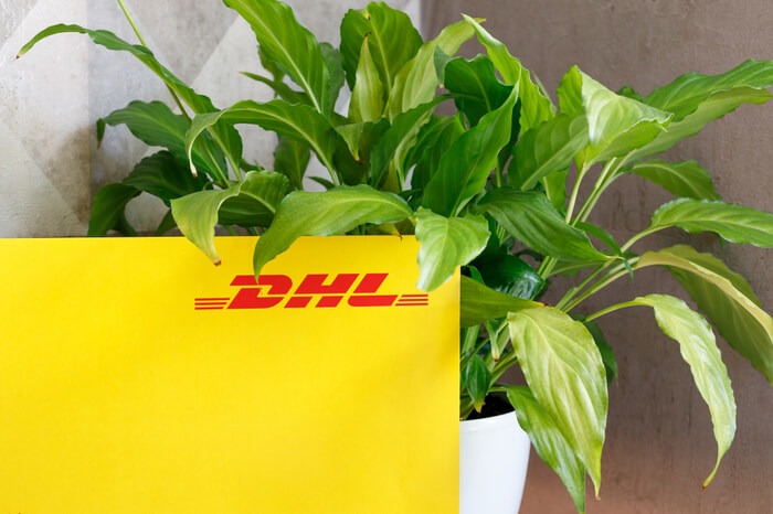 DHL Paket mit Pflanze